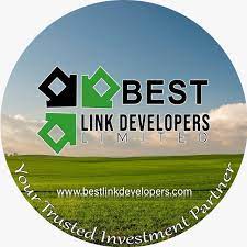 Best Link Developers