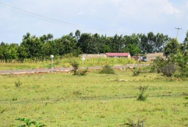 PRIME PLOT FOR SALE AT KABATI, MURANG’A