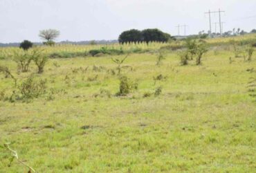 Land parcels in Kenya