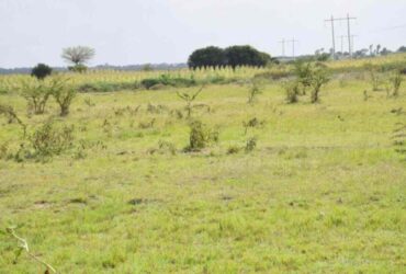 LAND FOR SALE IN NANYUKI AT Kshs. 1.5 PER ACRE.