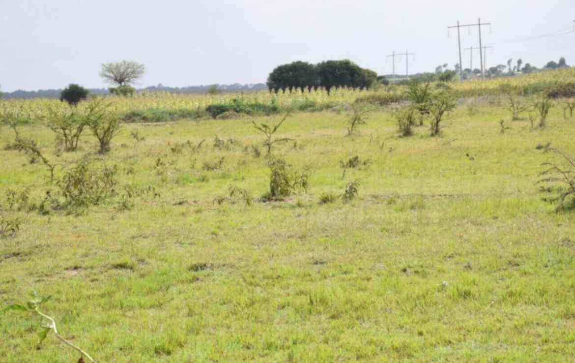 Land parcels in Kenya